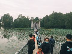 -东湖落雁景区