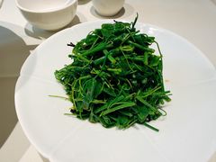 -马旺子酒楼