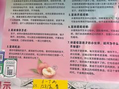 -老袁家蜜桃农场·阳山水蜜桃