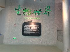-烟台自然博物馆