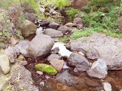 -云岫谷游猎自然风景区