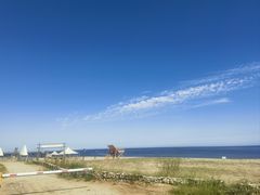 -南戴河国际娱乐中心