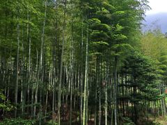 -黄公望隐居地