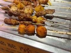 -福苗小骆驼烧烤(莲湖路店)