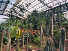 -呀路古热带植物园