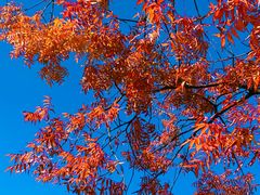 -昆明城市学院(海源校区)