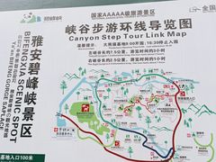 -碧峰峡风景区