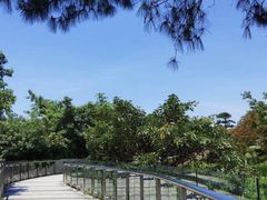 -铁山坪森林公园