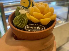 花盆肉肉-哈根达斯(朝阳大悦城店)