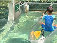 -花水湾第一村温泉大酒店