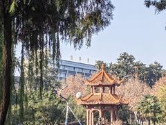 -四川大学(望江校区)