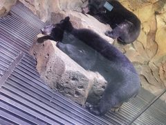 -波塞冬海底世界