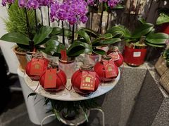 -豆豆花艺(新光天地店)