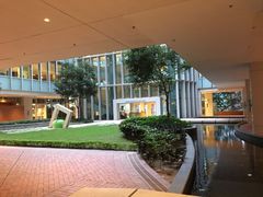 -香港大学