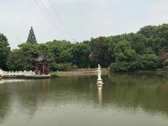 -青龙山国家森林公园