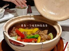 -大鸽饭(动物园店)