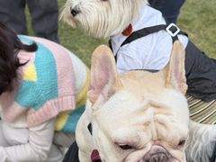 -上海神旺大酒店