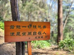 -寂照庵