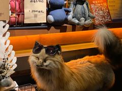-杂咖zacup(领展中心城店)