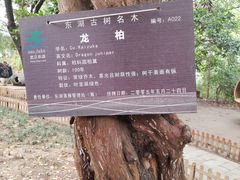 -东湖落雁景区