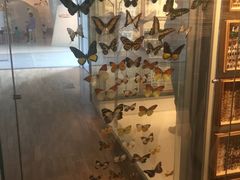 -墨尔本博物馆(Melbourne Museum)