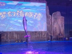 -华夏文旅海洋公园