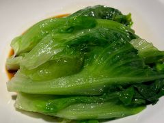 白灼唐生菜-维园悦谱·海派家常菜(乌鲁木齐南路店)