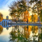 玉渊潭就是那种耐看的“姑娘”