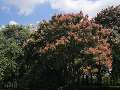 -苏州河梦清园环保主题公园