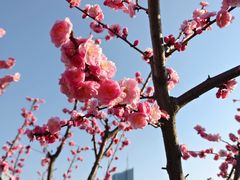 -天鹅湖体育公园