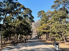 -沈阳市东陵公园