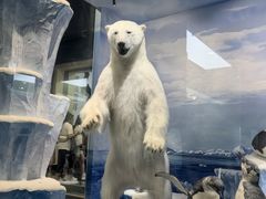 -国家自然博物馆