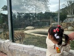 -泉州海丝野生动物世界