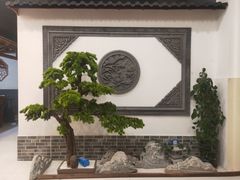 -呼吸森林·生态农庄农家乐私房菜