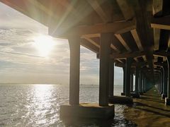 -宝安西湾红树林湿地公园