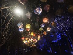 -花博汇(知音花月夜)