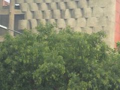 河北人家品味自助-淀里船宴(卓达店)