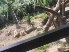 -宁波野生动物园