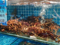 -良师门滨海人家·海鲜·家常菜(滨海城店)
