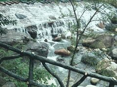 -石台牯牛降景区