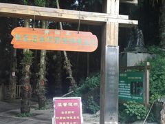 -井冈山风景名胜区-黄洋界