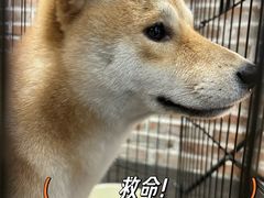 -呼吸沉浸式剧场(甘露园店)