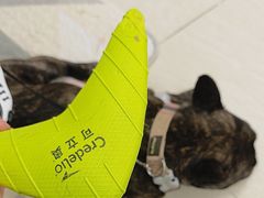 -美联众合动物医院·24h京西诊疗中心