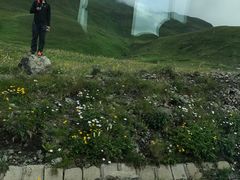 -长白山吉祥物天池水怪专卖