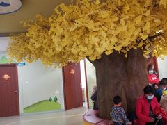 -北京中医药大学东直门医院(通州院区)