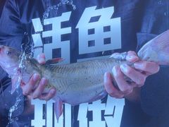 -老板恋上鱼(恒隆广场店)