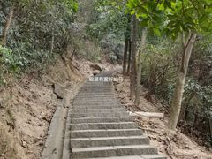 -火炉山森林公园