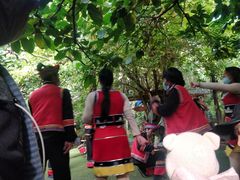 -呀路古热带植物园