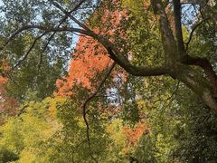 -三江森林温泉度假区