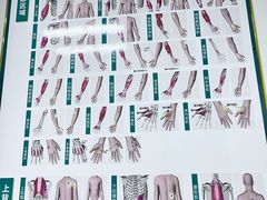 -通透堂中医·精准推拿(旗舰店)